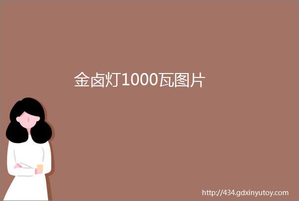 金卤灯1000瓦图片