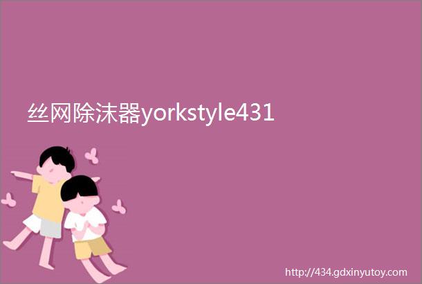 丝网除沫器yorkstyle431