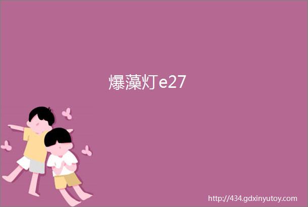 爆藻灯e27