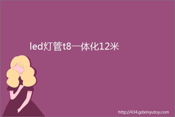 led灯管t8一体化12米