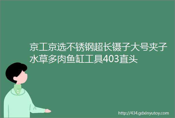 京工京选不锈钢超长镊子大号夹子水草多肉鱼缸工具403直头