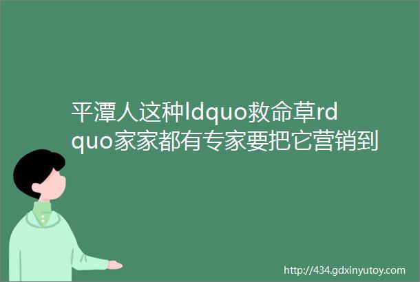 平潭人这种ldquo救命草rdquo家家都有专家要把它营销到全球