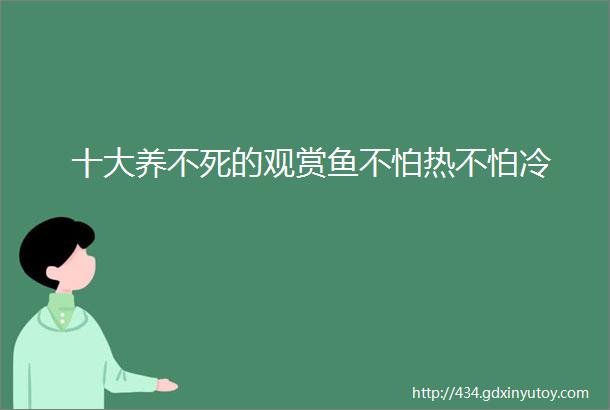 十大养不死的观赏鱼不怕热不怕冷