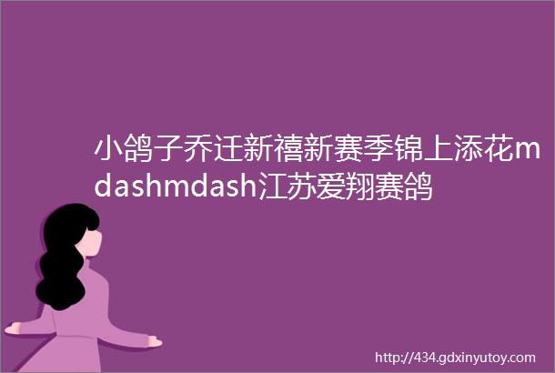 小鸽子乔迁新禧新赛季锦上添花mdashmdash江苏爱翔赛鸽中心新棚竣工典礼开启赛事新纪元