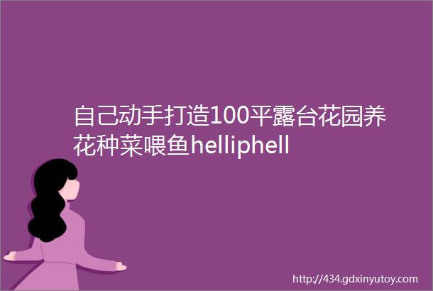 自己动手打造100平露台花园养花种菜喂鱼helliphellip真性情真花痴