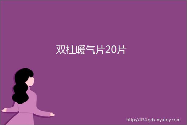 双柱暖气片20片