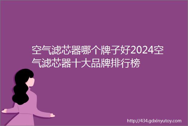 空气滤芯器哪个牌子好2024空气滤芯器十大品牌排行榜