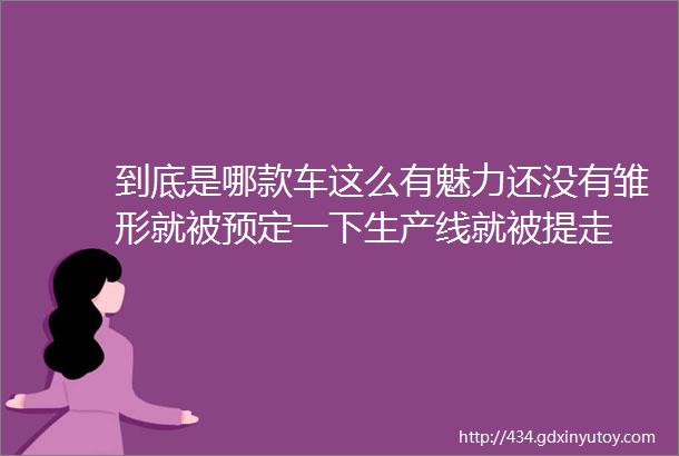 到底是哪款车这么有魅力还没有雏形就被预定一下生产线就被提走