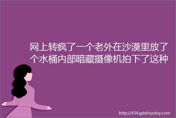 网上转疯了一个老外在沙漠里放了个水桶内部暗藏摄像机拍下了这种画面