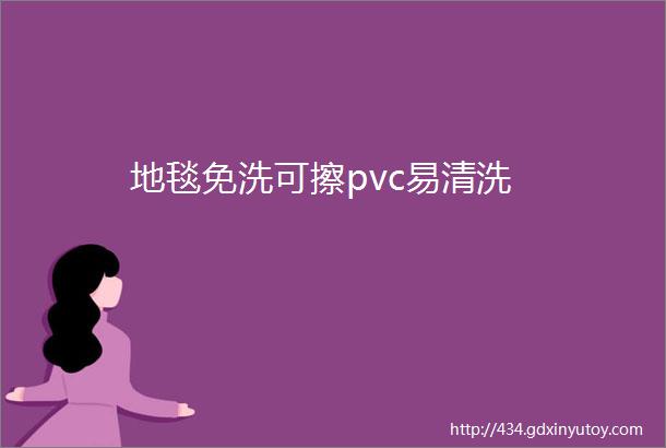 地毯免洗可擦pvc易清洗