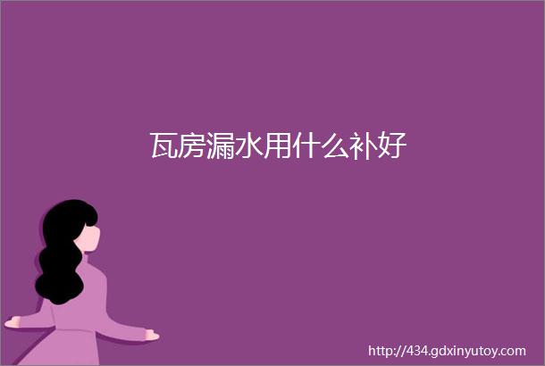 瓦房漏水用什么补好