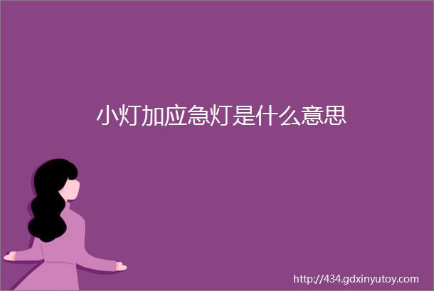 小灯加应急灯是什么意思