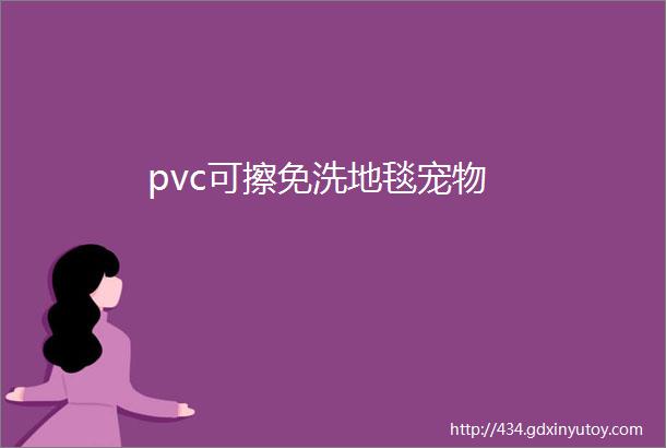 pvc可擦免洗地毯宠物