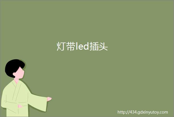 灯带led插头