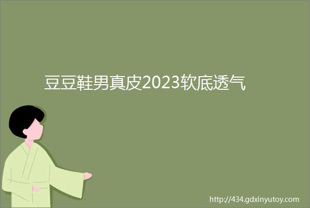 豆豆鞋男真皮2023软底透气