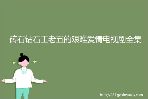 砖石钻石王老五的艰难爱情电视剧全集