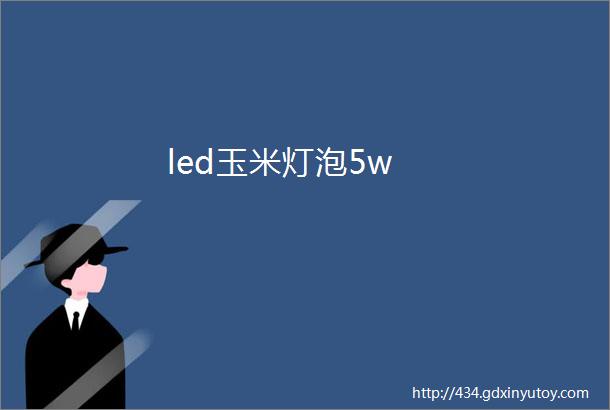 led玉米灯泡5w