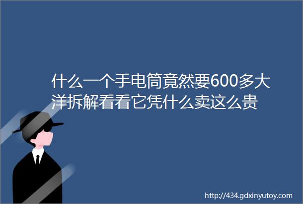 什么一个手电筒竟然要600多大洋拆解看看它凭什么卖这么贵