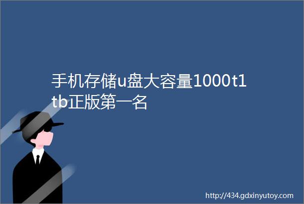 手机存储u盘大容量1000t1tb正版第一名