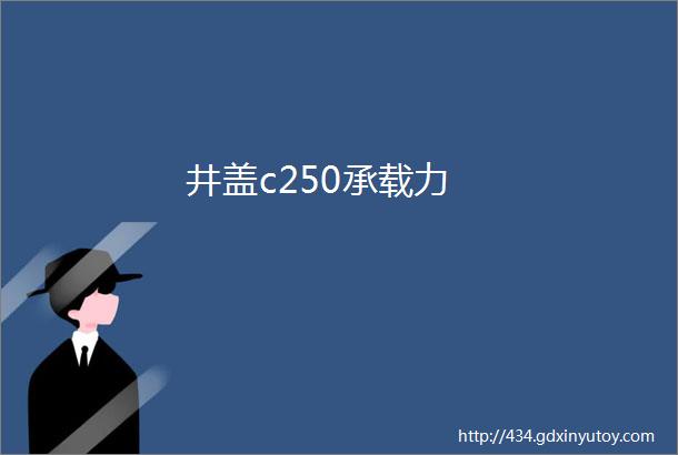 井盖c250承载力