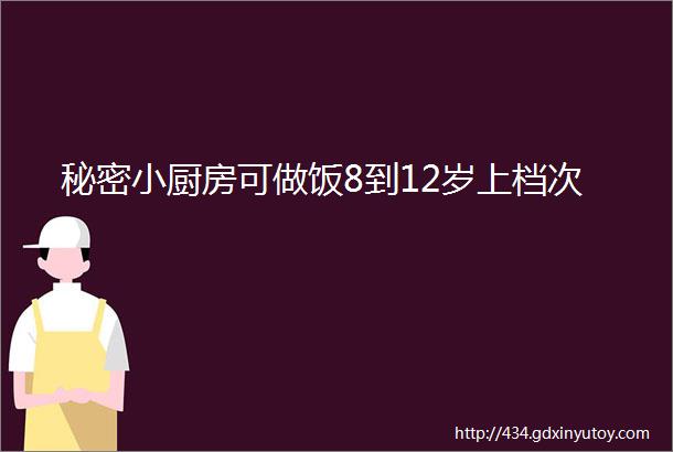 秘密小厨房可做饭8到12岁上档次