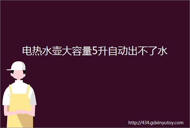 电热水壶大容量5升自动出不了水