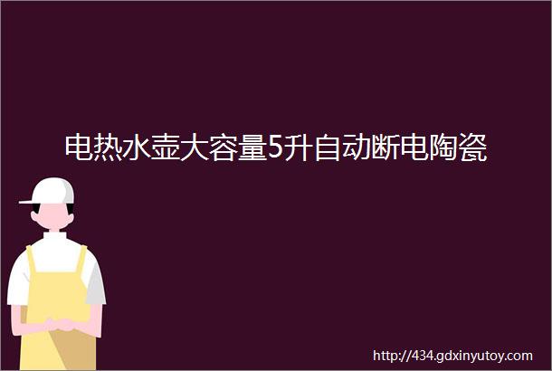 电热水壶大容量5升自动断电陶瓷