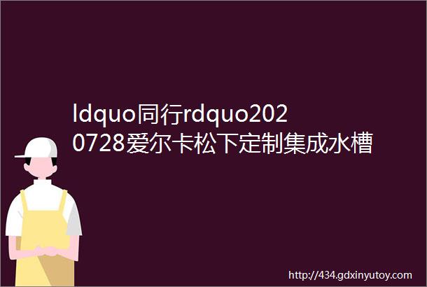 ldquo同行rdquo2020728爱尔卡松下定制集成水槽洗碗机新品见面会