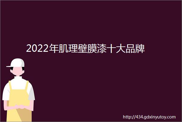 2022年肌理壁膜漆十大品牌