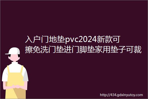 入户门地垫pvc2024新款可擦免洗门垫进门脚垫家用垫子可裁