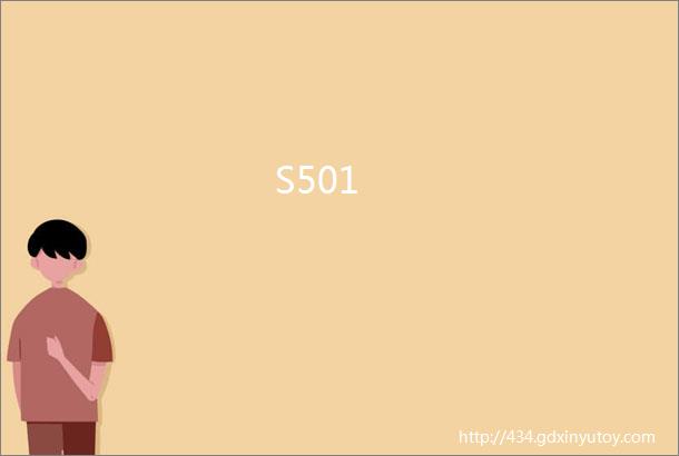 S501