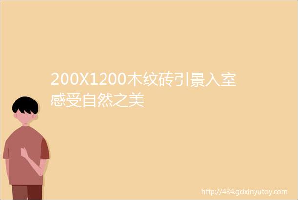 200X1200木纹砖引景入室感受自然之美