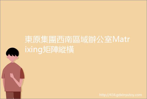 東原集團西南區域辦公室Matrixing矩陣縱橫