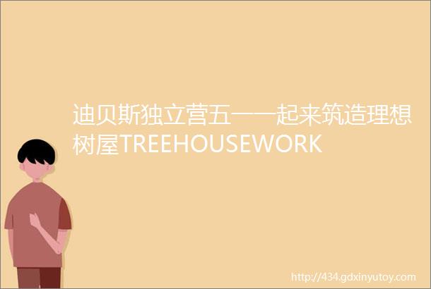 迪贝斯独立营五一一起来筑造理想树屋TREEHOUSEWORKSHOP