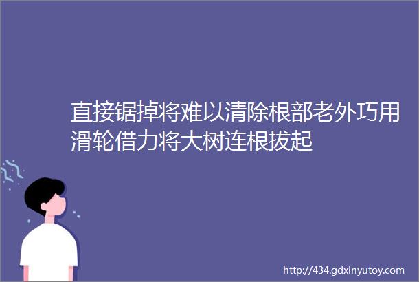 直接锯掉将难以清除根部老外巧用滑轮借力将大树连根拔起