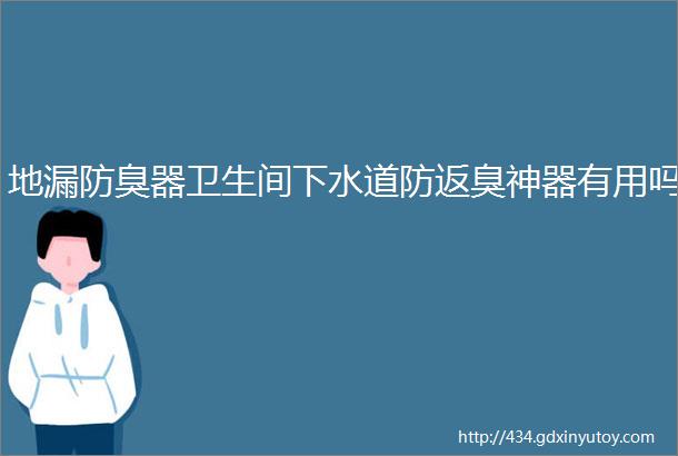 地漏防臭器卫生间下水道防返臭神器有用吗