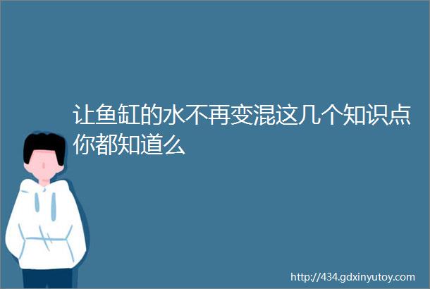 让鱼缸的水不再变混这几个知识点你都知道么