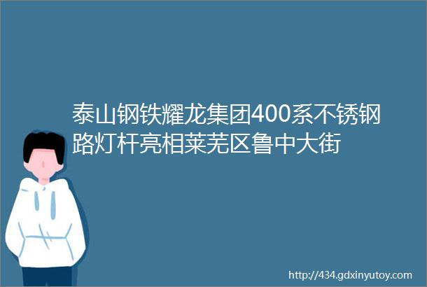 泰山钢铁耀龙集团400系不锈钢路灯杆亮相莱芜区鲁中大街