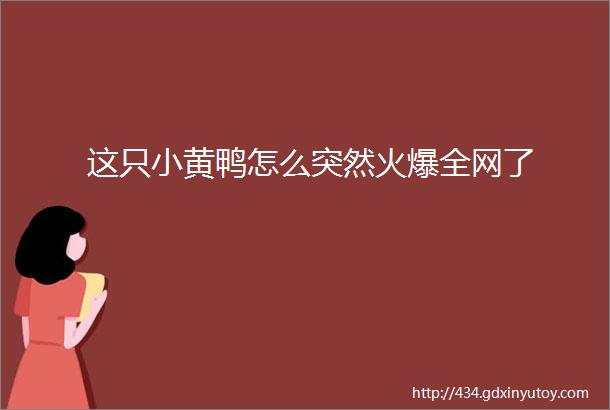 这只小黄鸭怎么突然火爆全网了