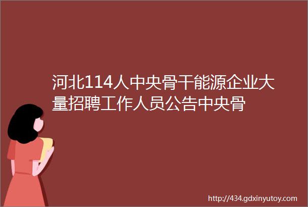 河北114人中央骨干能源企业大量招聘工作人员公告中央骨