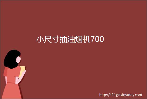 小尺寸抽油烟机700