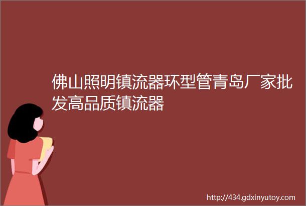 佛山照明镇流器环型管青岛厂家批发高品质镇流器