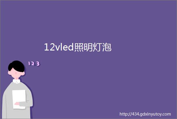 12vled照明灯泡