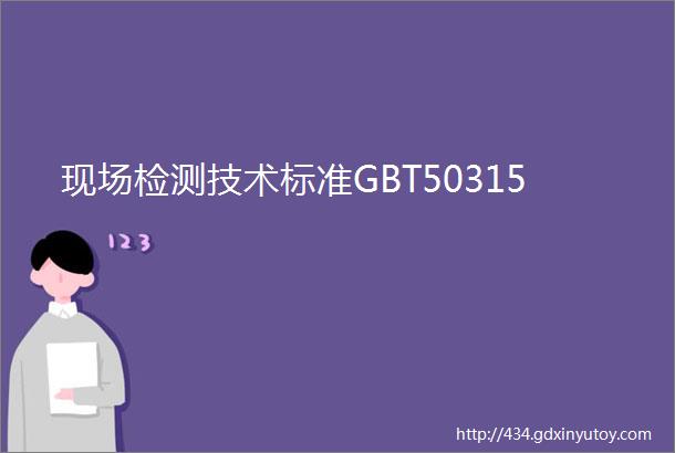 现场检测技术标准GBT50315