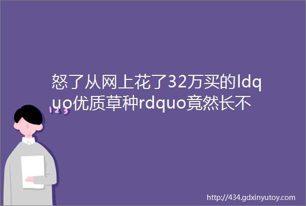 怒了从网上花了32万买的ldquo优质草种rdquo竟然长不出好草