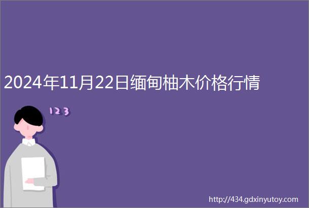 2024年11月22日缅甸柚木价格行情