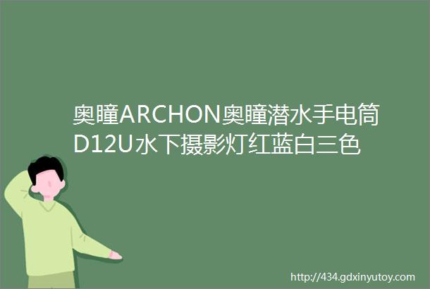 奥瞳ARCHON奥瞳潜水手电筒D12U水下摄影灯红蓝白三色