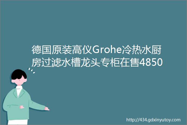 德国原装高仪Grohe冷热水厨房过滤水槽龙头专柜在售4850大洋共15个