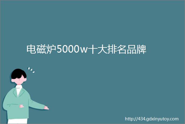 电磁炉5000w十大排名品牌