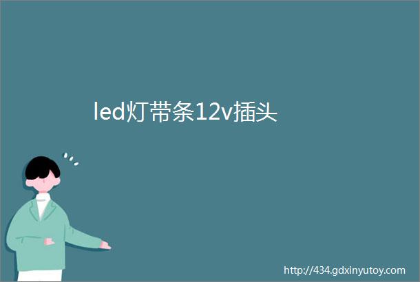 led灯带条12v插头